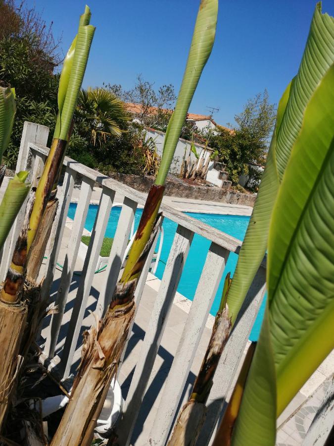 Les Bichettes Panzió Mortagne-sur-Sevre Kültér fotó